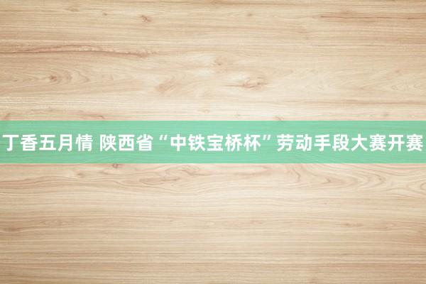 丁香五月情 陕西省“中铁宝桥杯”劳动手段大赛开赛