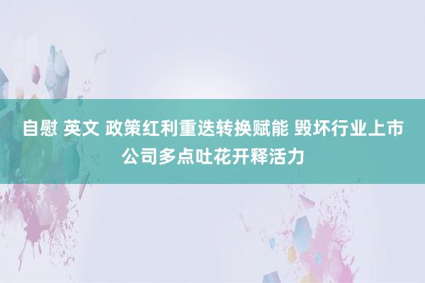 自慰 英文 政策红利重迭转换赋能 毁坏行业上市公司多点吐花开释活力