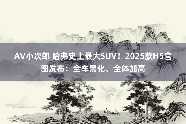 AV小次郎 哈弗史上最大SUV！2025款H5官图发布：全车黑化、全体加高