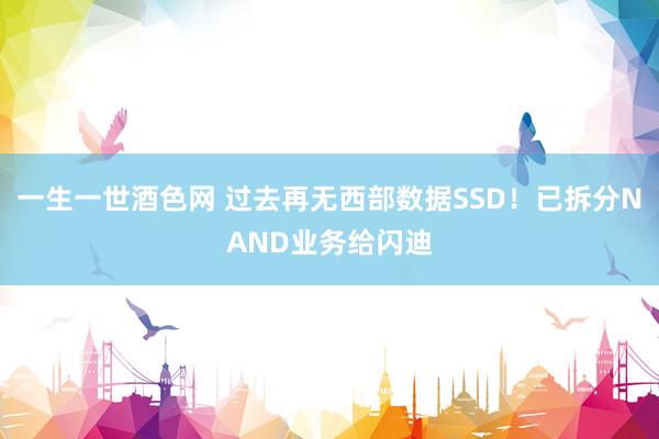 一生一世酒色网 过去再无西部数据SSD！已拆分NAND业务给闪迪