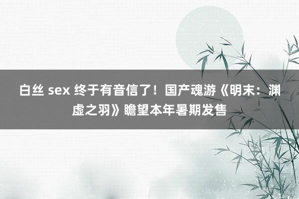 白丝 sex 终于有音信了！国产魂游《明末：渊虚之羽》瞻望本年暑期发售