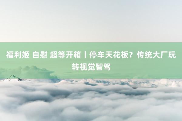 福利姬 自慰 超等开箱丨停车天花板？传统大厂玩转视觉智驾