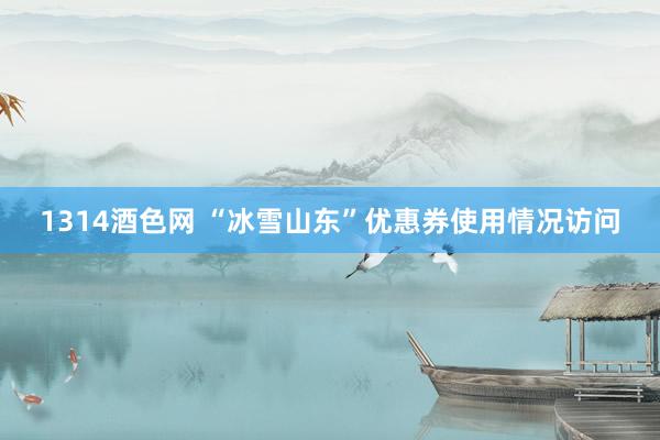 1314酒色网 “冰雪山东”优惠券使用情况访问