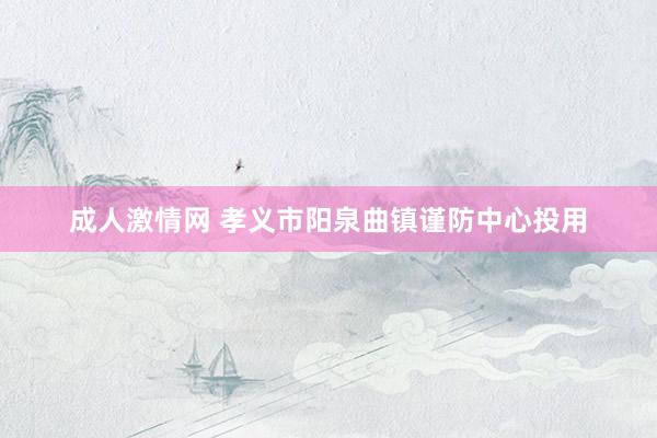 成人激情网 孝义市阳泉曲镇谨防中心投用