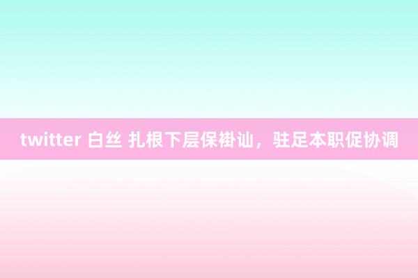 twitter 白丝 扎根下层保褂讪，驻足本职促协调
