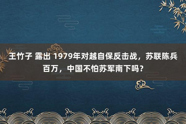 王竹子 露出 1979年对越自保反击战，苏联陈兵百万，中国不怕苏军南下吗？