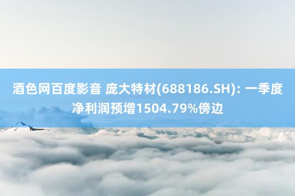 酒色网百度影音 庞大特材(688186.SH): 一季度净利润预增1504.79%傍边