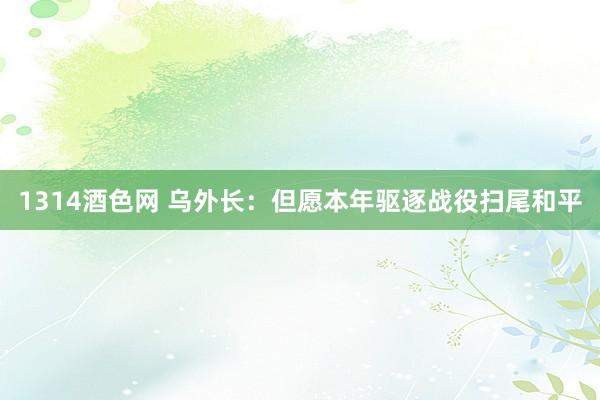 1314酒色网 乌外长：但愿本年驱逐战役扫尾和平