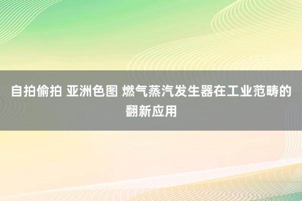 自拍偷拍 亚洲色图 燃气蒸汽发生器在工业范畴的翻新应用