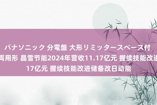 パナソニック 分電盤 大形リミッタースペース付 露出・半埋込両用形 晶雪节能2024年营收11.17亿元 握续技能改进储备改日动能