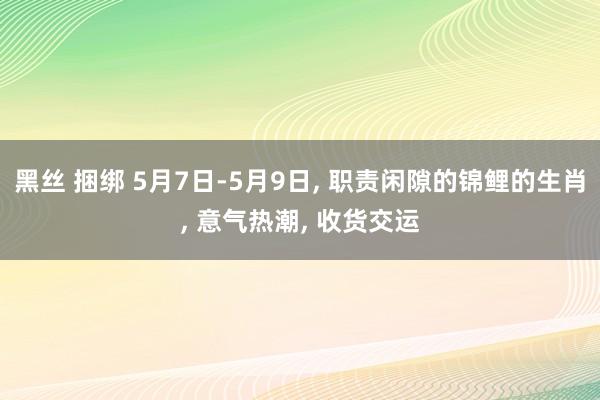 黑丝 捆绑 5月7日-5月9日， 职责闲隙的锦鲤的生肖， 意气热潮， 收货交运