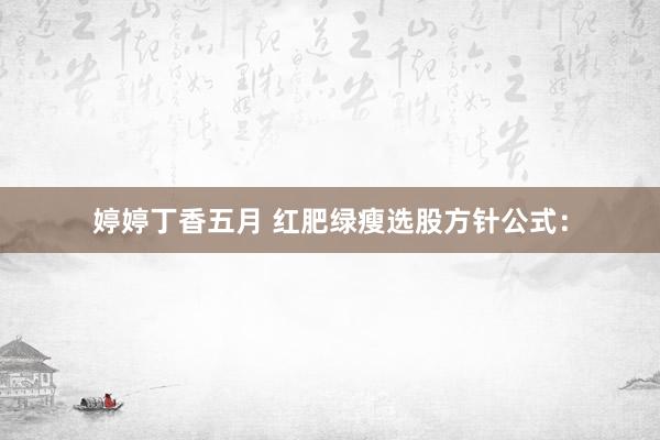 婷婷丁香五月 红肥绿瘦选股方针公式：