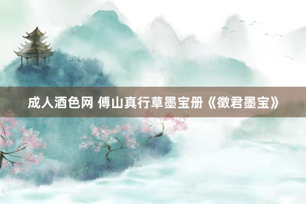 成人酒色网 傅山真行草墨宝册《徵君墨宝》