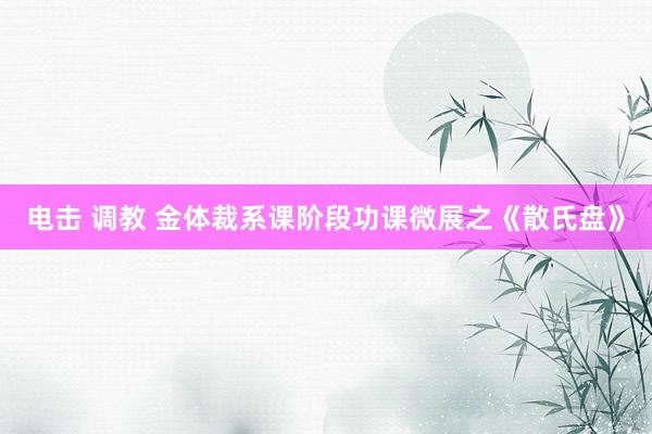 电击 调教 金体裁系课阶段功课微展之《散氏盘》