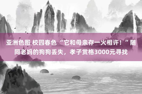 亚洲色图 校园春色 “它和母亲存一火相许！”随同老妈的狗狗丢失，孝子赏格3000元寻找